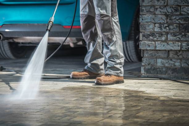 Best Roof Cleaning and Mildew Removal in Burt, MI